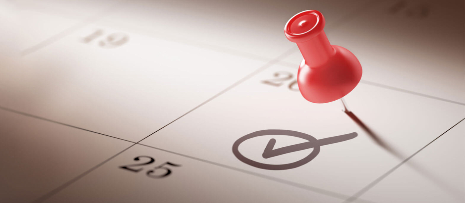 Sea Academy İnsan Kaynakları Hizmetleri